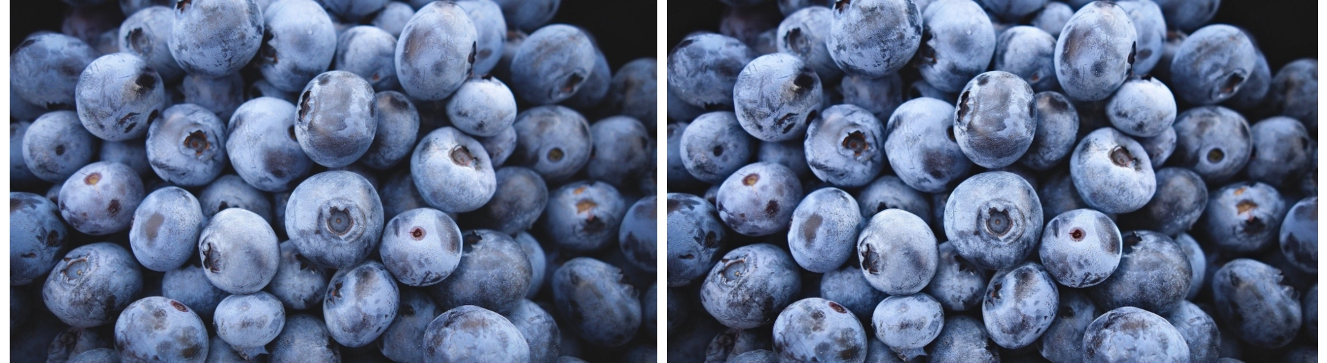 Final Results Before and After Sharpen DLX applied to image of blueberries