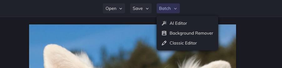 BeFunky Batch editing options.